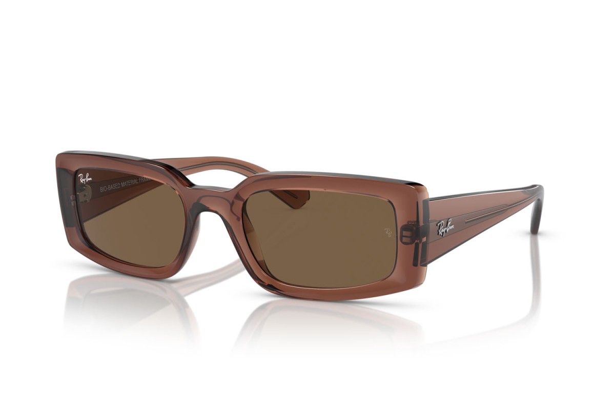 Ray-Ban Kiliane 4395 Marron