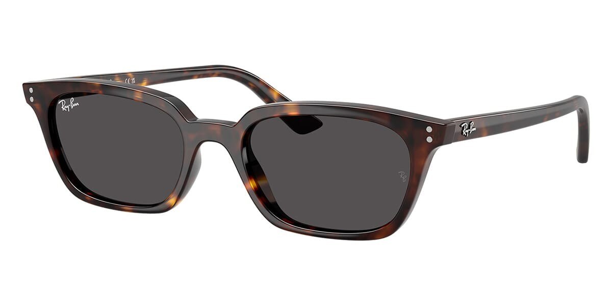 Ray-Ban RB4456